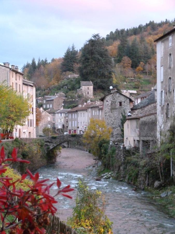 Cocon Des Cevennes - Pierre De Lune Saint-André-de-Valborgne 외부 사진